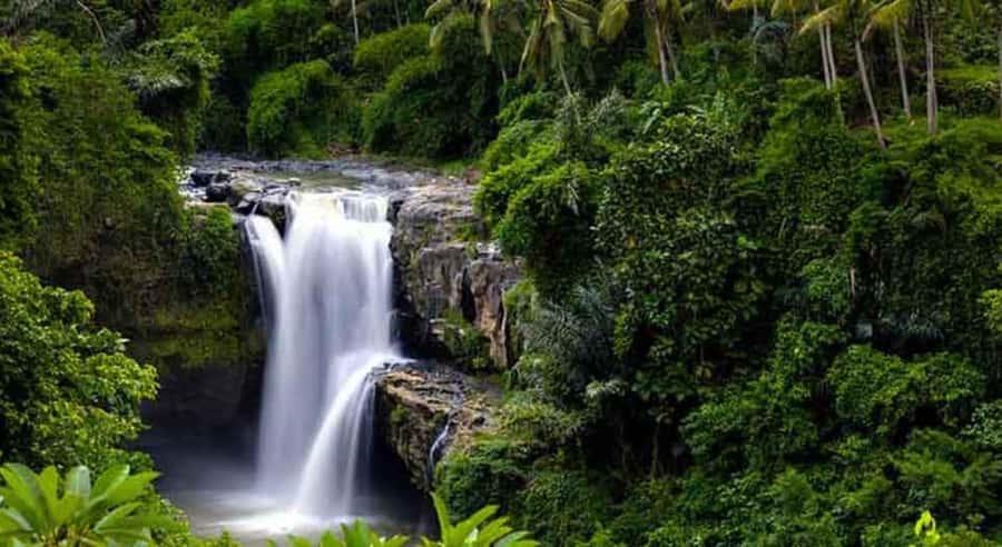 Ubud: Customized Ubud Tour With Private Car - What a private car changes in Ubud