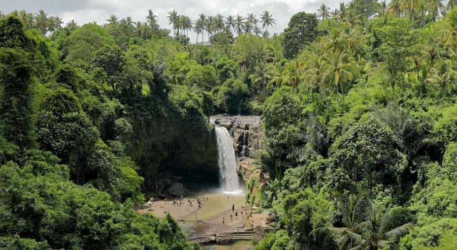 Ubud: Customized Ubud Tour With Private Car - Batuan Temple, Barong dance, and Bali’s craft villages