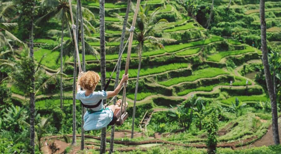 Ubud: Customized Ubud Tour With Private Car - Monkey Forest and Ubud’s royal center