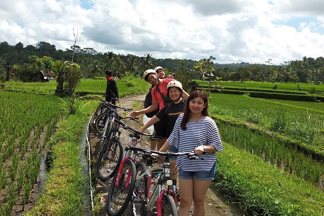 Ubud Cycling Tour - What the guide and small group add