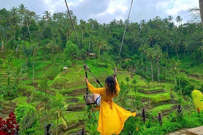 Ubud DayTrip : Monkey Forest - Rice Terrace - Jungle Swing - Water Temple - A full Ubud day from Seminyak