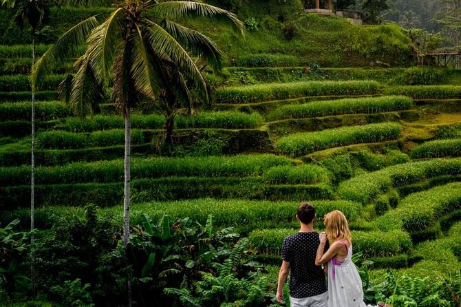 Ubud DayTrip : Monkey Forest - Rice Terrace - Jungle Swing - Water Temple - Monkey Forest, where temples share the trees