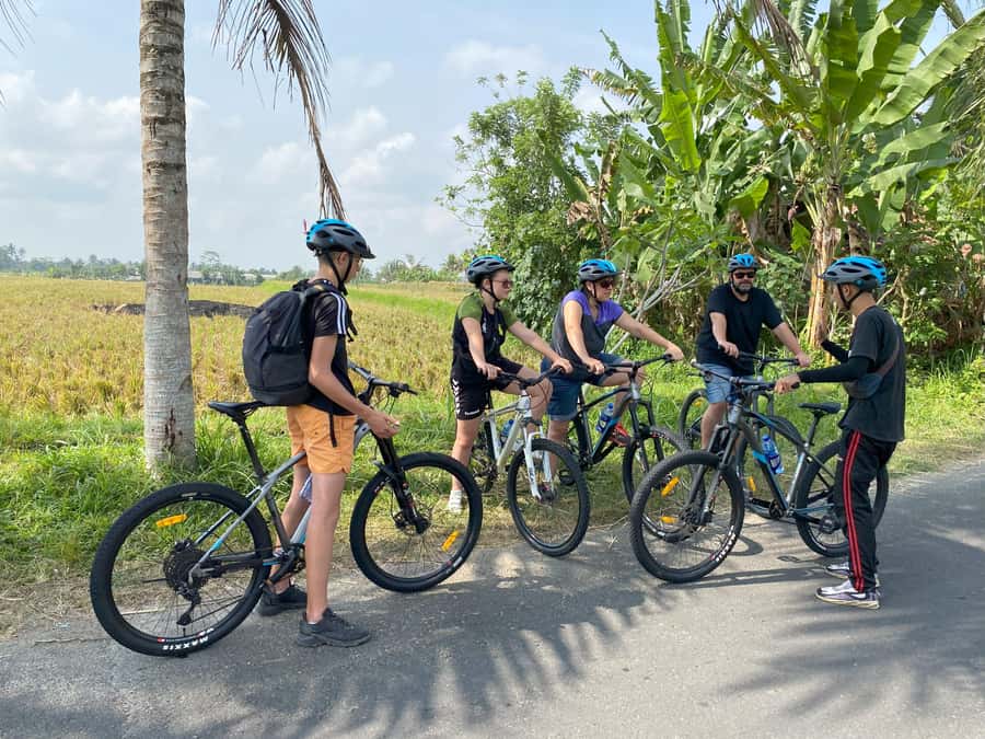 Ubud: Downhill Bike Tour Rice Fields, Volcano and Pool - A Downhill Ride, Not a Mountain-Biking Test