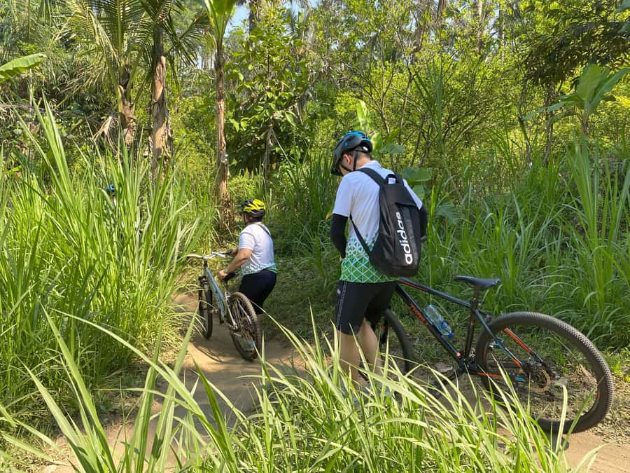 Ubud: Downhill Bike Tour Rice Fields, Volcano and Pool - Inside a Balinese Family Compound
