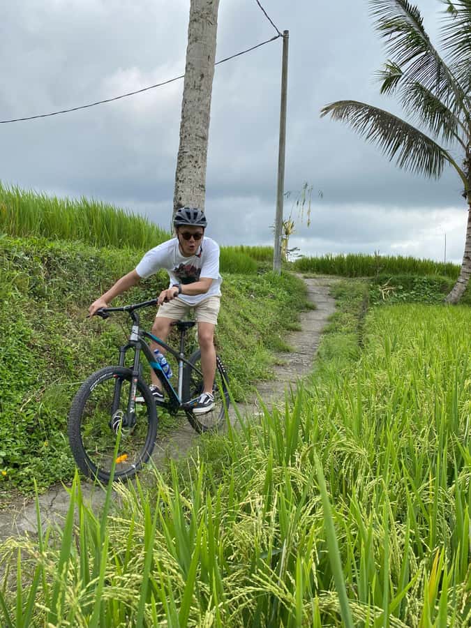 Ubud: Downhill Bike Tour Rice Fields, Volcano and Pool - Rice Fields, Small Villages, and Working Farms