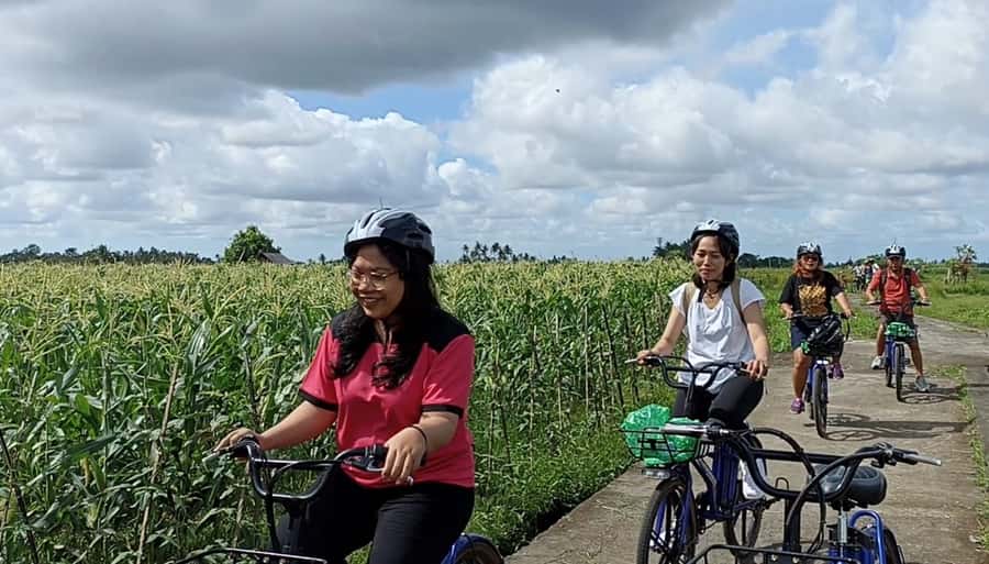 Ubud e-Bike Tour & Whitewater Rafting - Key points to know before you book