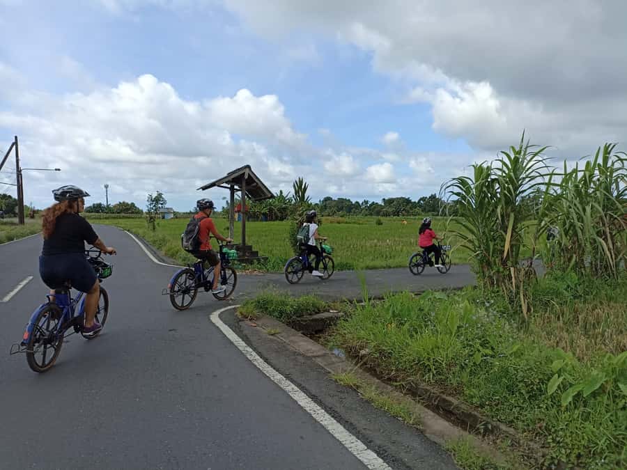 Ubud e-Bike Tour & Whitewater Rafting - Reading Bali’s Subak rice fields