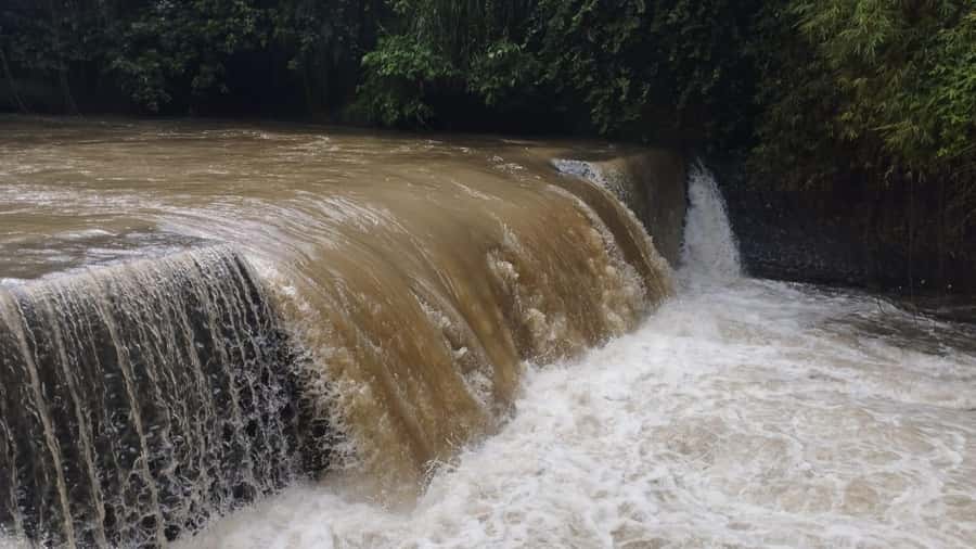 Ubud e-Bike Tour & Whitewater Rafting - Is $99 a fair price?