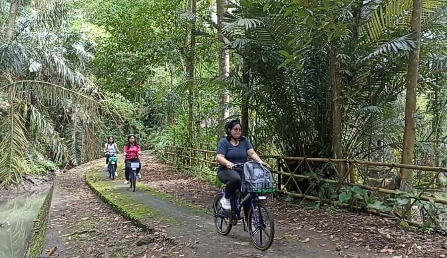 Ubud e-Bike Tour & Whitewater Rafting - Starting in Mambal by electric bike