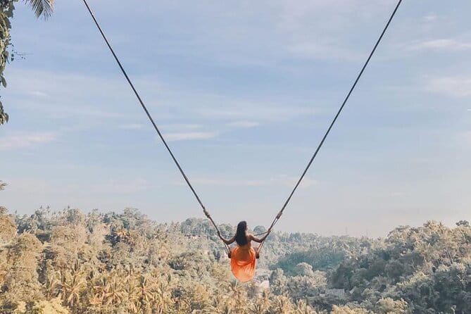 Ubud Full Day - Monkey Forest, Rice Terrace and Waterfalls Tour - Key points at a glance