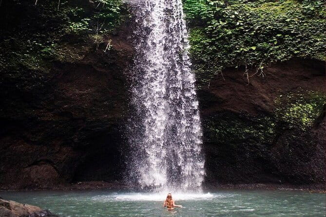 Ubud Full Day - Monkey Forest, Rice Terrace and Waterfalls Tour - Tegalalang Rice Terrace: Bali farming in view