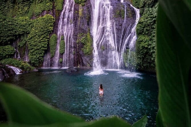 Ubud Full Day - Monkey Forest, Rice Terrace and Waterfalls Tour - Why the driver-guide matters