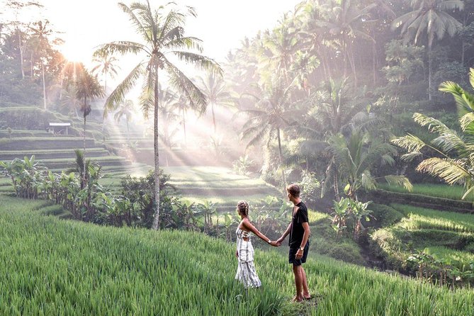 Ubud Full Day Tour Waterfall Monkey Forest Rice Terrace - What the $27 price really covers
