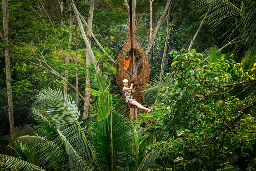Ubud: Half-Day Zipline and Jungle Swing Adventure - A quick Ubud adventure above the rice fields