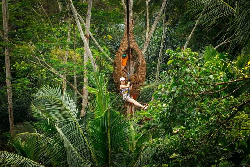 Ubud: Half-Day Zipline and Jungle Swing Adventure - Coffee, herbal drinks, and the added cultural stop