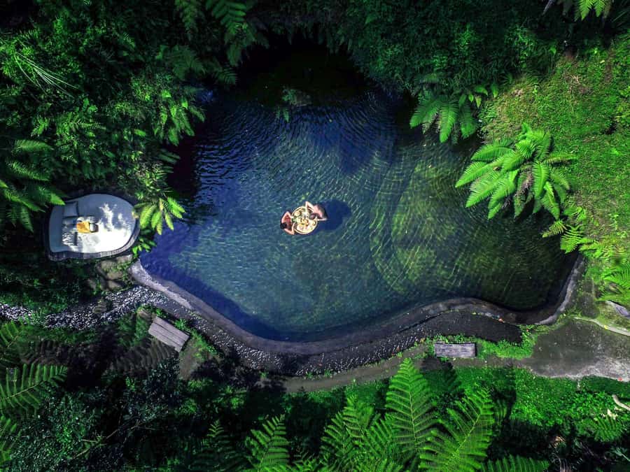 Ubud: Half-Day Zipline and Jungle Swing Adventure - What happens at the zipline course