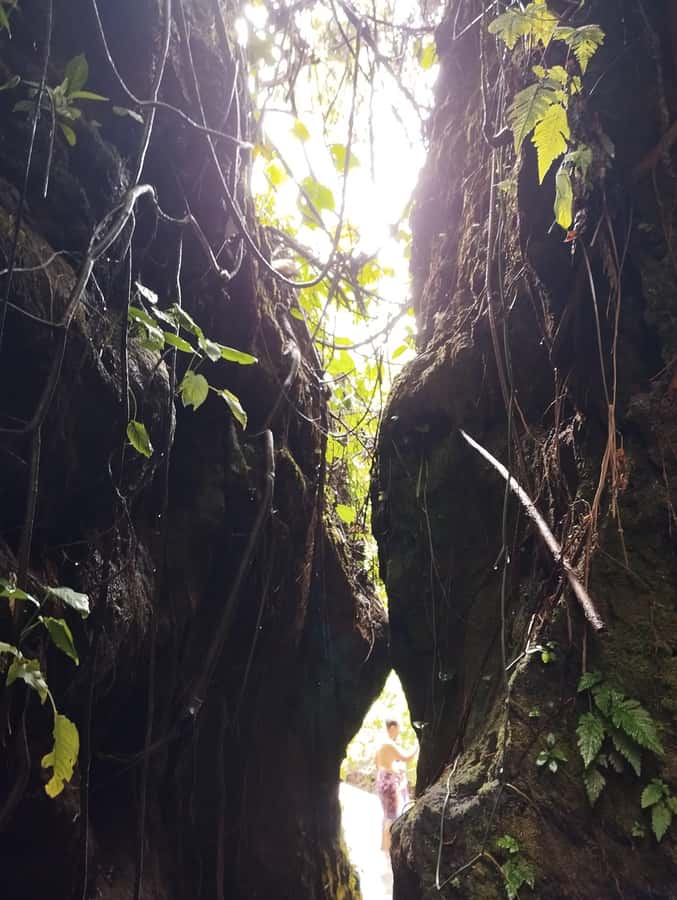 Ubud: Healing & Purification with Shaman at Hidden Temple - Practical preparation for the fountains