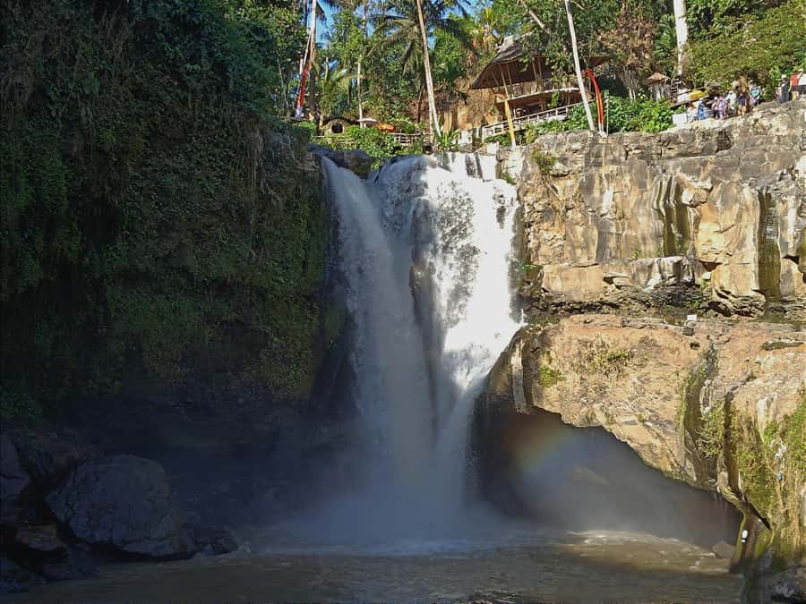 Ubud: Heaven Gate Lempuyang, Water Palace & Waterfall Tour - Coffee plantation and Balinese tasting
