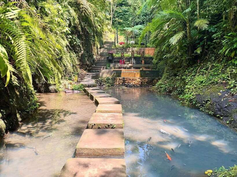 Ubud: Hidden Waterfall, Monkey Forest, Rice Terrace & Swing - Final call: a practical choice for a first Ubud day