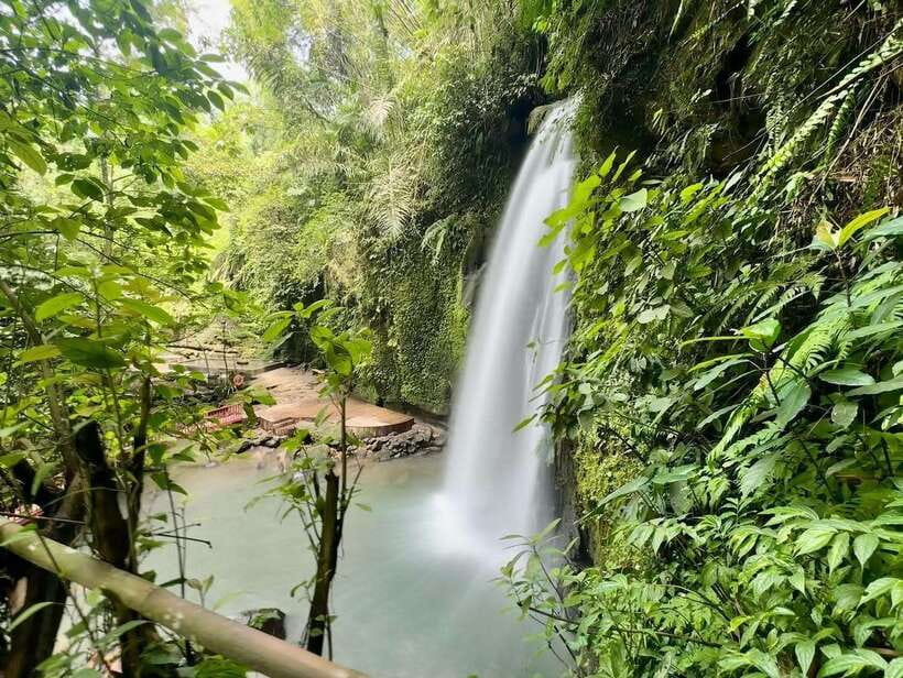 Ubud: Hidden Waterfall, Monkey Forest, Rice Terrace & Swing - Who will enjoy this Ubud outing
