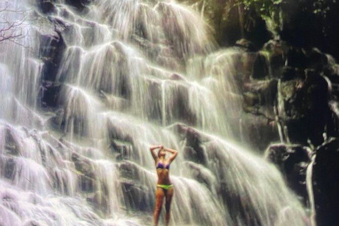 Ubud Highlight Rice Terrace,Waterfall,Temple and Art village - What this private Ubud day is really like