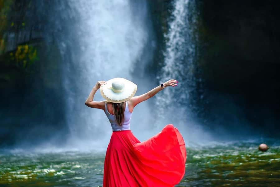 Ubud: Highlights Tour with Soul Purification at Tirta Empul - Key points to know before you book