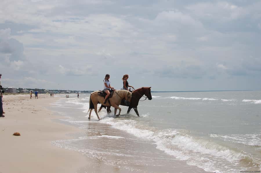 Ubud: Horse Riding, Zip-Line Tour & Waterfall Tour - Who will enjoy this Bali combination?
