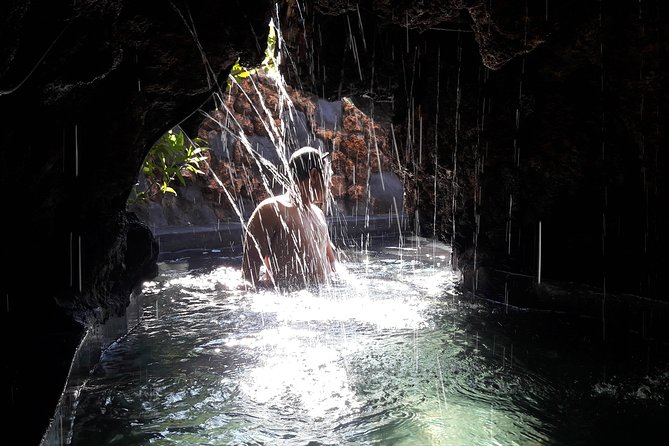 Ubud Hot Springs and Waterfall Private Guided Tour - Happy Swing and Tegalalang: photos, rice terraces, and a price question