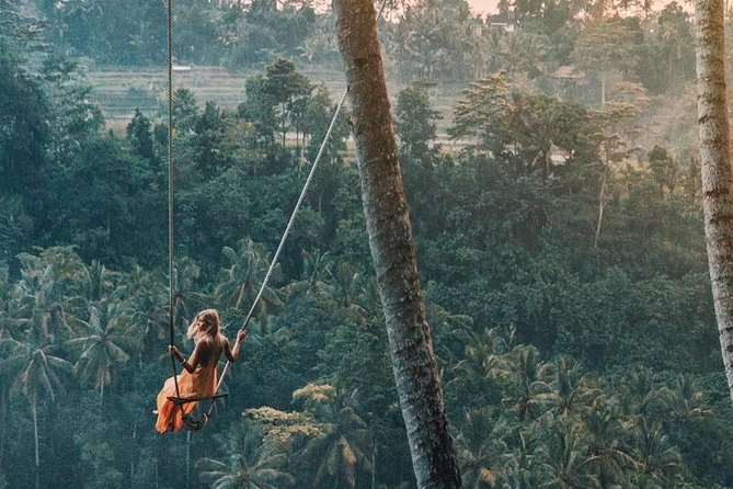 Ubud Jungle Swing, Temple & Waterfall Tour (Private Half Day Tour) - The Drive From Seminyak and Other Bali Areas