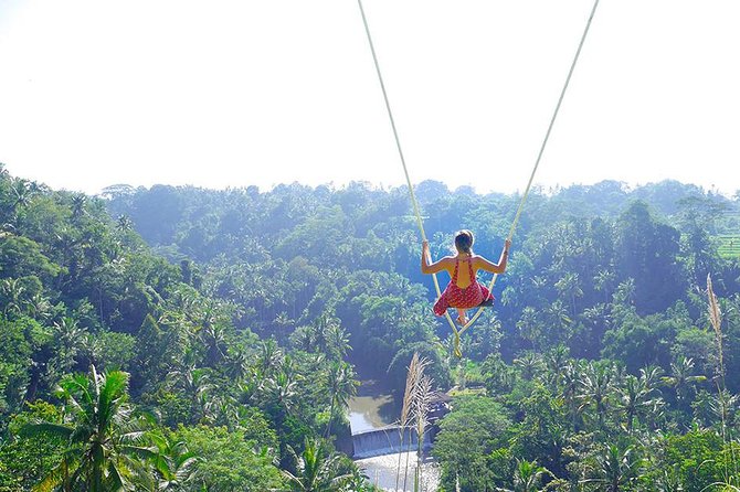 Ubud Jungle Swing, Temple & Waterfall Tour (Private Half Day Tour) - Who Will Get the Most From This Half-Day