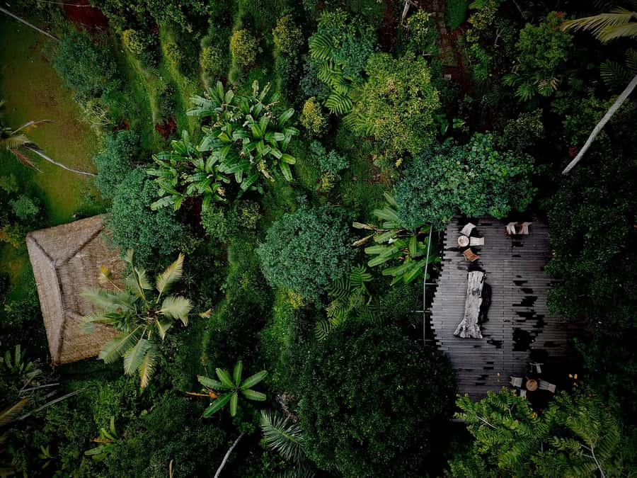 Ubud: Kanto Lampo Waterfall, Art Market, Cretya & Tanah Lot - Kanto Lampo Waterfall: the wet and photogenic hour