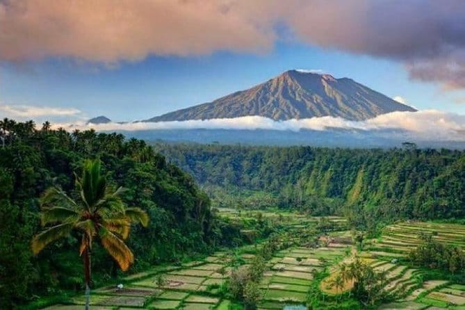 Ubud Kintamani Full Day Tour - Mount Batur viewpoint, not a mountain climb