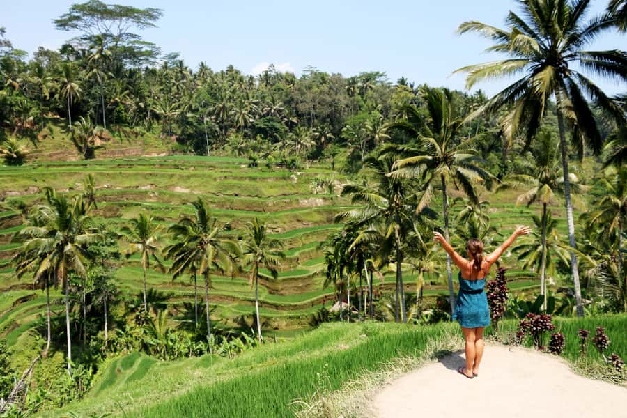 Ubud: Monkey Forest and Rice Terrace Private Tour - Why this Ubud day trip works