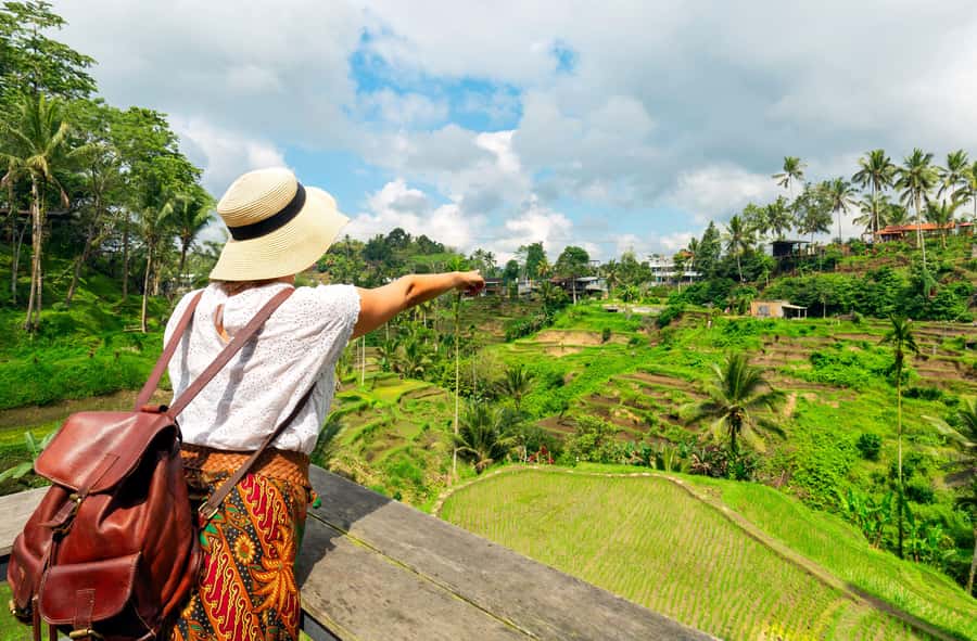 Ubud: Monkey Forest and Rice Terrace Private Tour - Walking through central Ubud