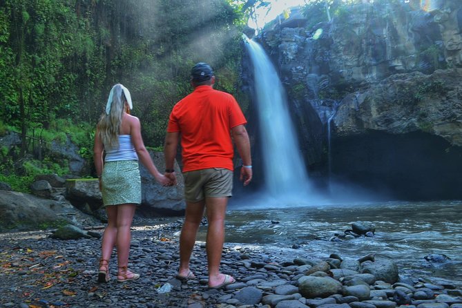 Ubud Monkey Forest Sanctuary Tours and Cretya - The private vehicle and guide service