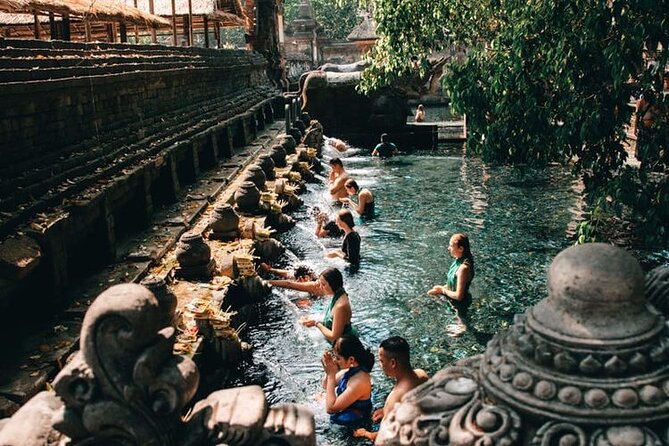 Ubud: Monkey Forest, Water Temple, Rice Terrace, Waterfall - Why this private Ubud day works from Seminyak