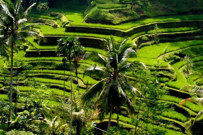 Ubud: Monkey Forest, Water Temple, Rice Terrace, Waterfall - Tegenungan Waterfall: the day’s wet finish