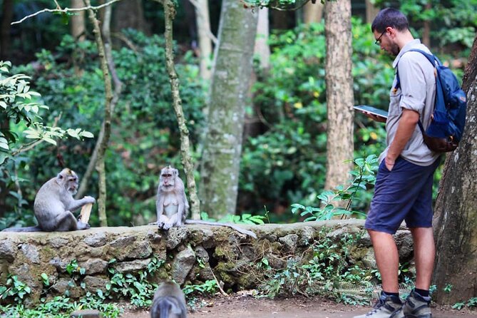 Ubud: Monkey Forest, Water Temple, Rice Terrace, Waterfall - Who will enjoy this Ubud route most