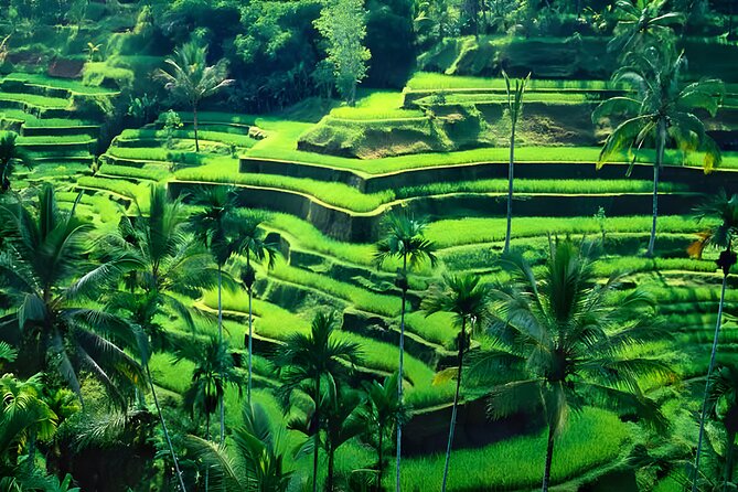Ubud Night Half Day Trip with Legong Dance Performance - Indonesian dinner and the trip home