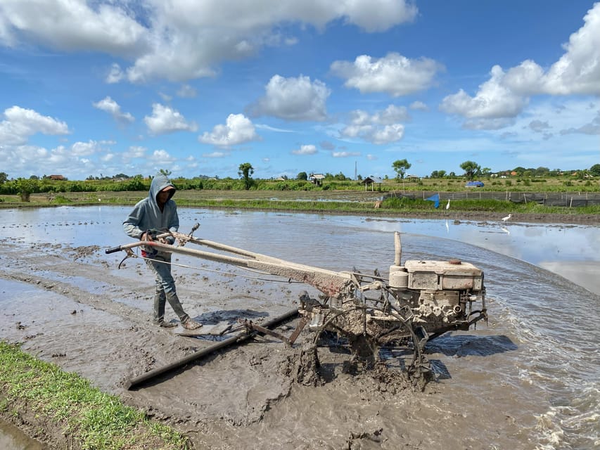 Ubud: PRIVATE E-bike Tour inside Rice Field with meal & pool - Lunch and pool time at Rapuan Cili Ubud