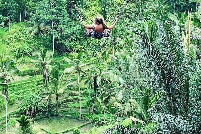 Ubud Private Tour - Starting from Seminyak and the south coast