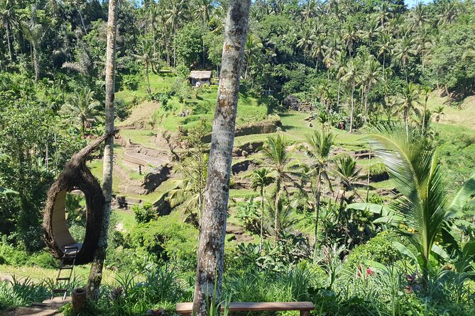Ubud Private Tour - Tegenungan Waterfall for the final major sight