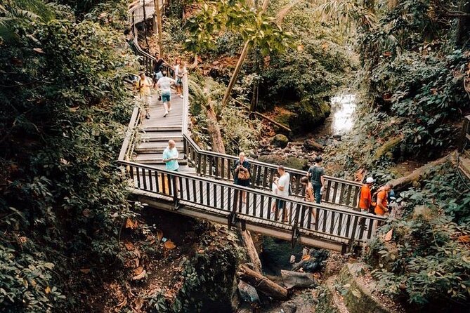 Ubud Private Tour: Monkey Forest, Rice Terrace, Temple, Waterfall - The Sacred Monkey Forest and Its Three Temples
