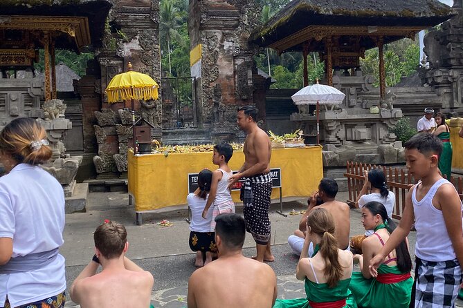 Ubud Private Tour: Monkey Forest, Rice Terrace, Temple, Waterfall - What the Private Format Really Adds