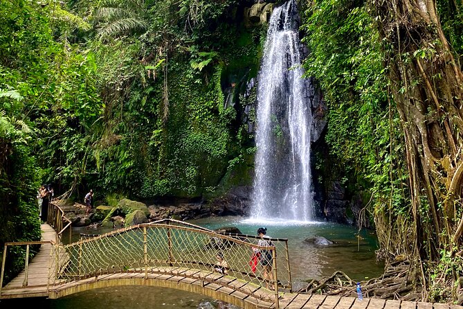 Ubud Private Tour: Monkey Forest, Rice Terrace, Temple, Waterfall - Who Should Book This Ubud Day Trip?