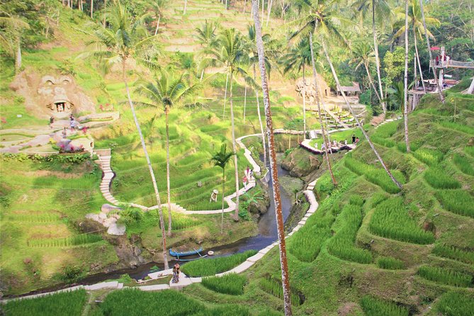 Ubud Private Tour : Ubud Temple and Authentic of Ubud - Tegalalang Rice Terrace: the classic Ubud view