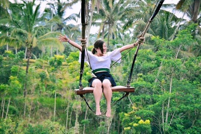 Ubud Private Tour : Ubud Temple and Authentic of Ubud - Monkey Forest: macaques and a sacred setting