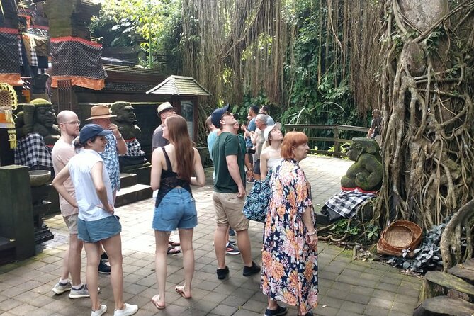 Ubud Private Tour - Pakudui Village and its rice terrace views