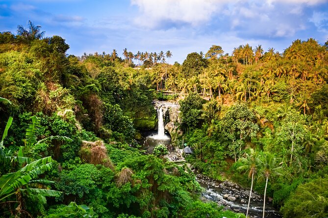 Ubud private tours - Why the private format matters