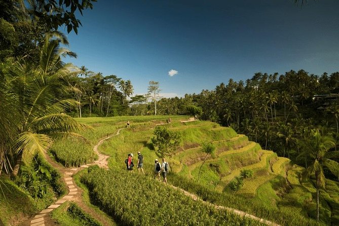 Ubud Rafting - Rice Terrace - Tegenungan Waterfall - Tanah Lot Sunset Temple - Tegalalang Rice Terrace: one hour among Bali’s famous green steps
